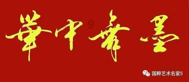 蓝狐视频